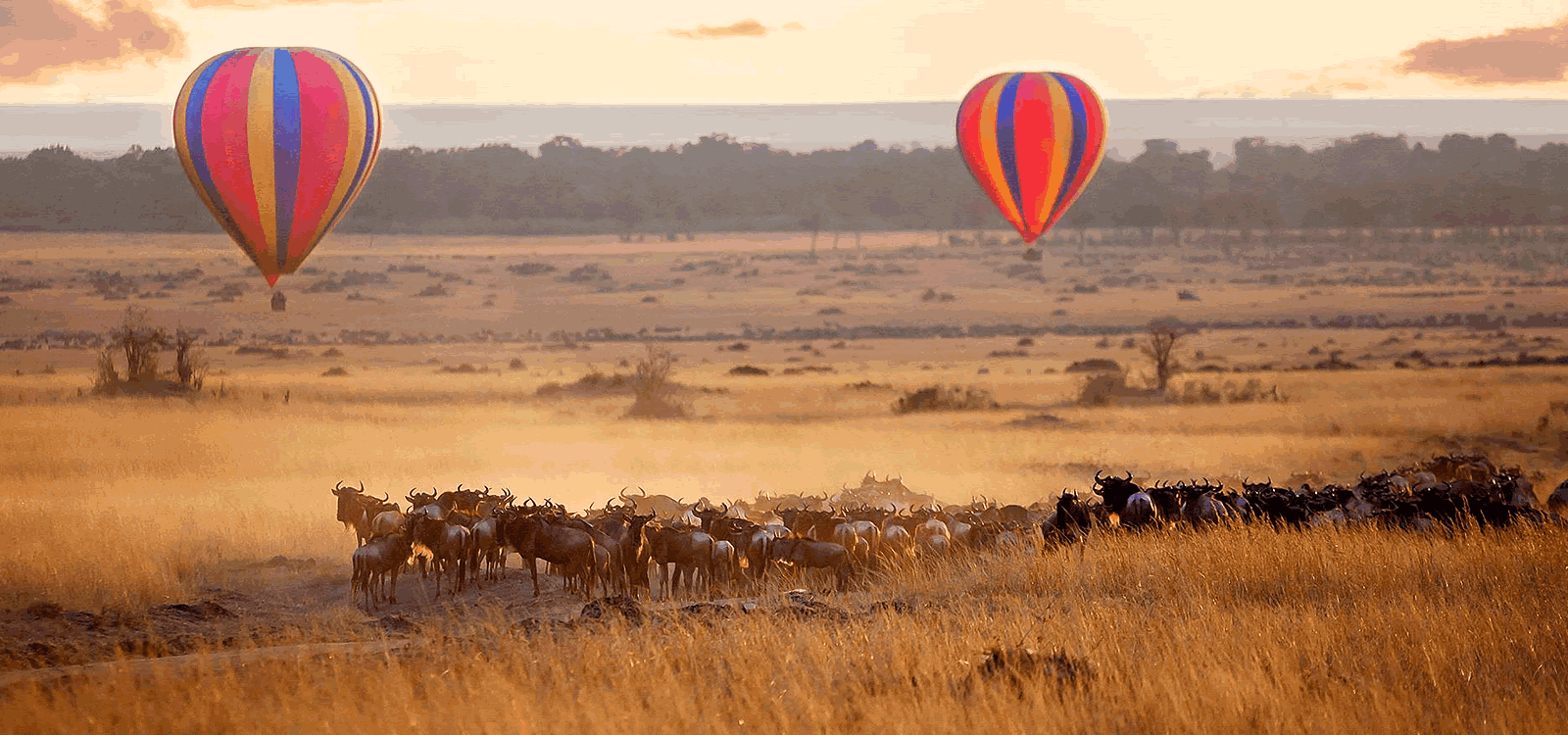 Masai mara balloon safaris