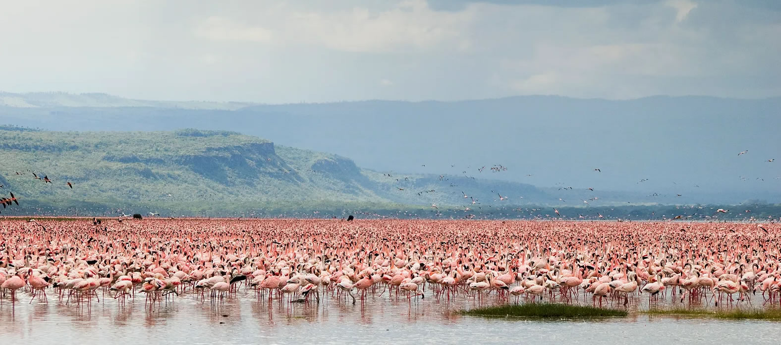 4 days Lake Nakuru Safaris