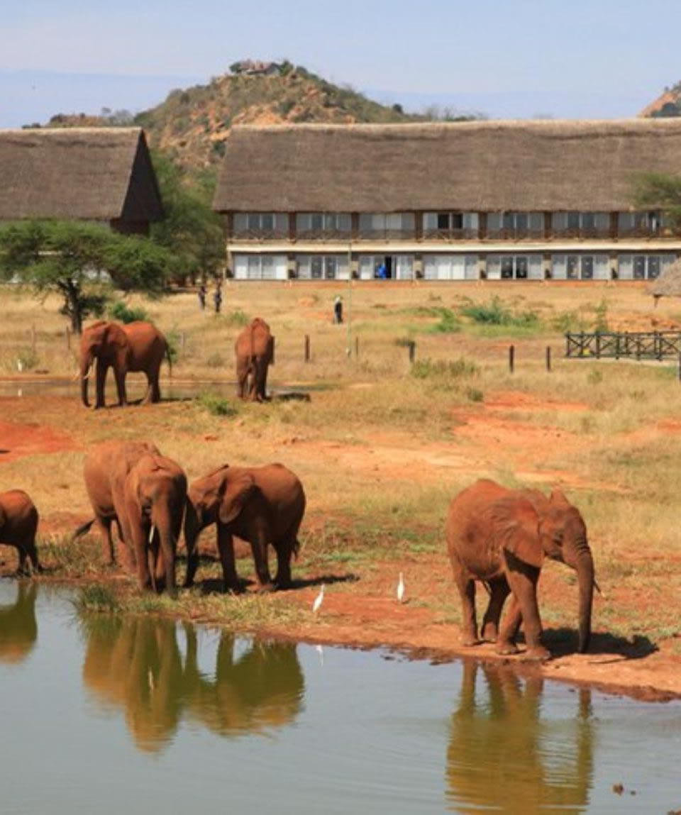 Tsavo