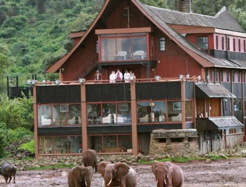 8 Days Samburu, Aberdare, Lake Naivasha & Masai Mara Safari