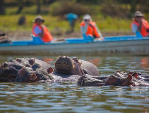 4 Days Lake Bogoria/Lake Nakuru 
