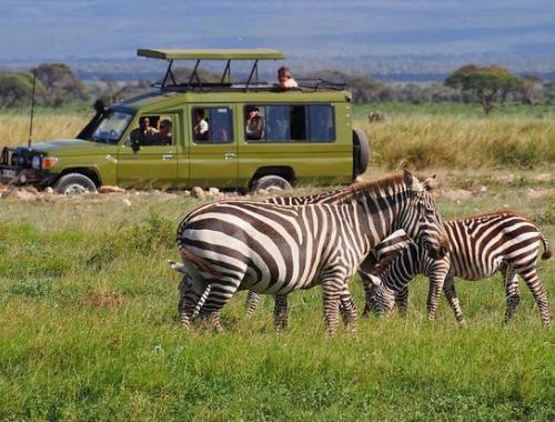 3 Days Amboseli National Park Safari | kenya safari holidays | Budget safari