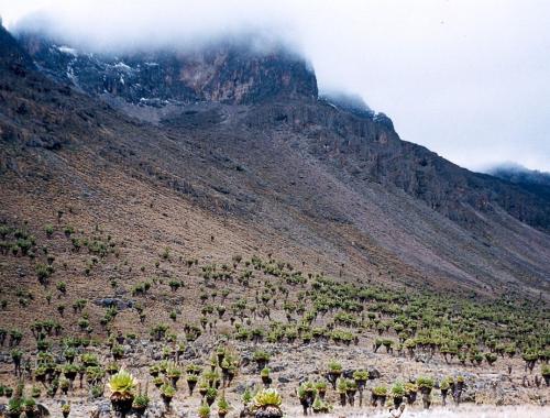 4 Days Mount Kenya | In Chogoria Out Sirimon 