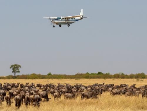 2 Nights fly in package at Mara Serena