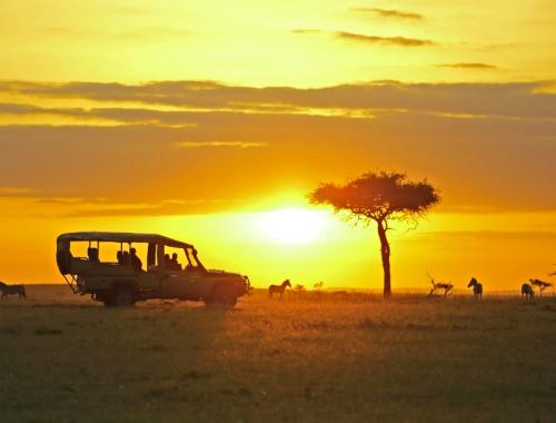 3 Days Masai Mara Camping Safari |Kenya budget Camping Safaris |Wildebeest Migration Packages |