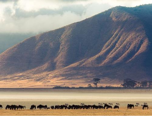 Tarangire / Lake Manyara / Serengeti / Ngorongoro Crater 5 Days Safari