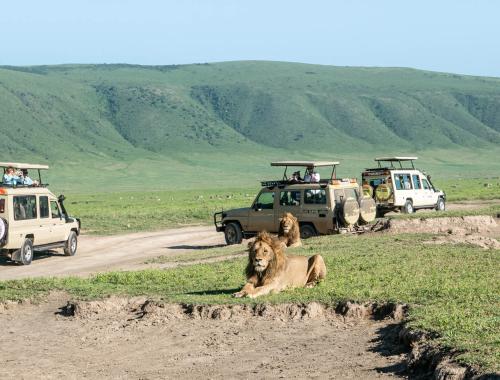 3 Days Lake Manyara/Ngorongoro Crater Safari