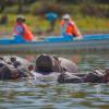 4 Days Lake Bogoria/Lake Nakuru 
