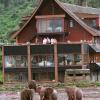 Aberdares National Park