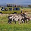 3 Days Amboseli National Park Safari | kenya safari holidays | Budget safari