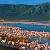 4 Days Samburu/Lake Nakuru Safari