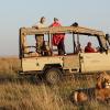 2 Days Masai Mara Camping Safari | kenya safari holidays | 1 Night Masai Mara Drive In Tour